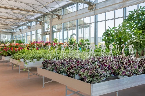 Do greenhouses keep plants warm in winter
