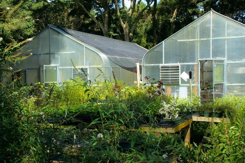  grow flowers in a greenhouse in winter?